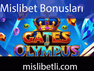 Mislibet bonusları ciddi çeşitlilikle üyelerin karşısındadır.
