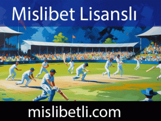 Mislibet lisanslı çerçevede hareket eden platformdur.