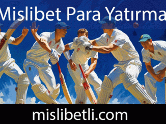 Mislibet para yatırma seçeneklerini çeşitlendirerek sunmaktadır.